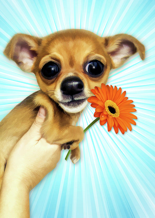 Encouragement Cartoon Chihuahua Puppy Digital Art by Doreen Erhardt