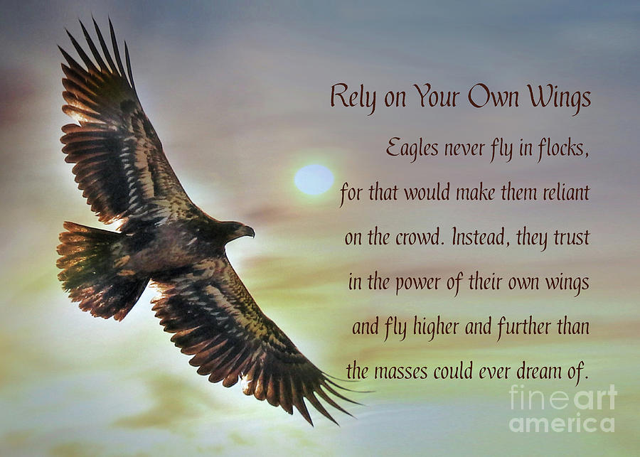 Encouragement Golden Eagle Rely on Your Own Wings Inspirational Photograph by Stephanie Laird
