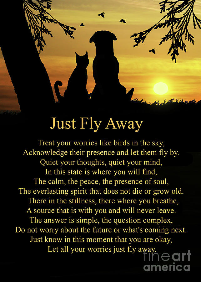 Encouragement Inspirational Just Fly Away Poem With Dog and Cat Photograph by Stephanie Laird
