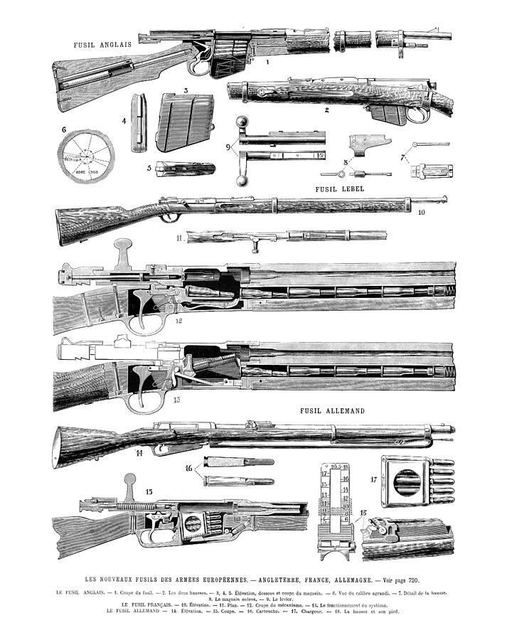 Vintage Digital Art - Encyclopedic Fusil Chart by Madame Memento