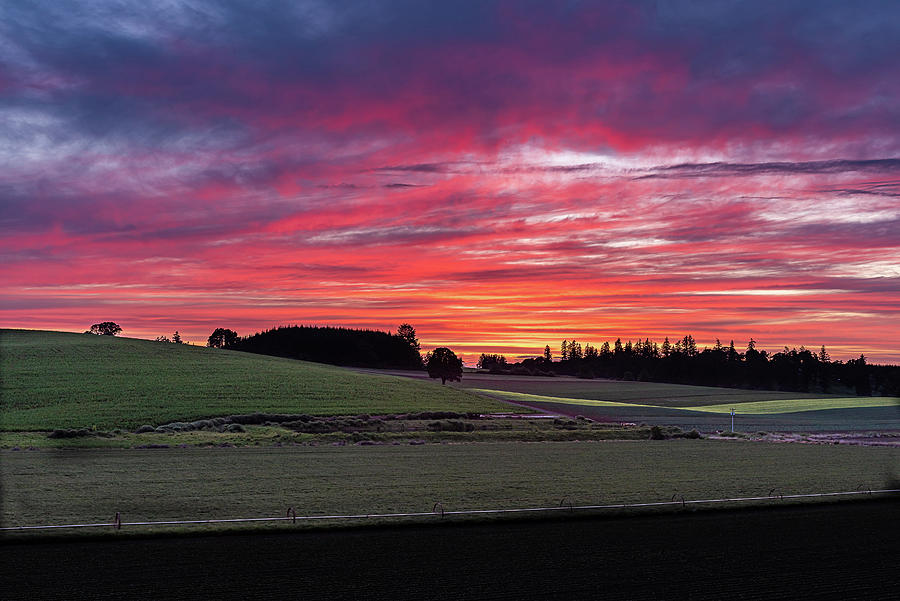 End of day on the farm Photograph by Ulrich Burkhalter
