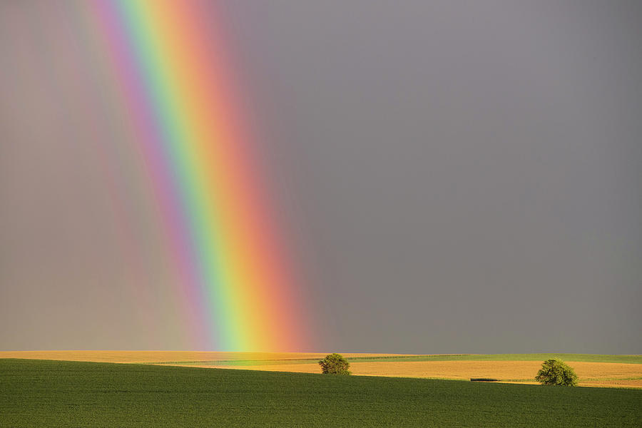 End of the Rainbow Photograph by AJ Dahm