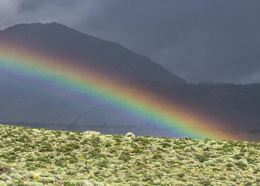 End of the Rainbow Photograph by Brett Harvey