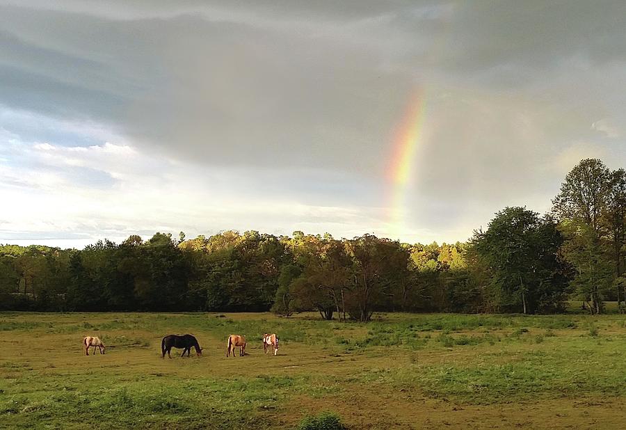 End of the Rainbow Photograph by Joe Duket