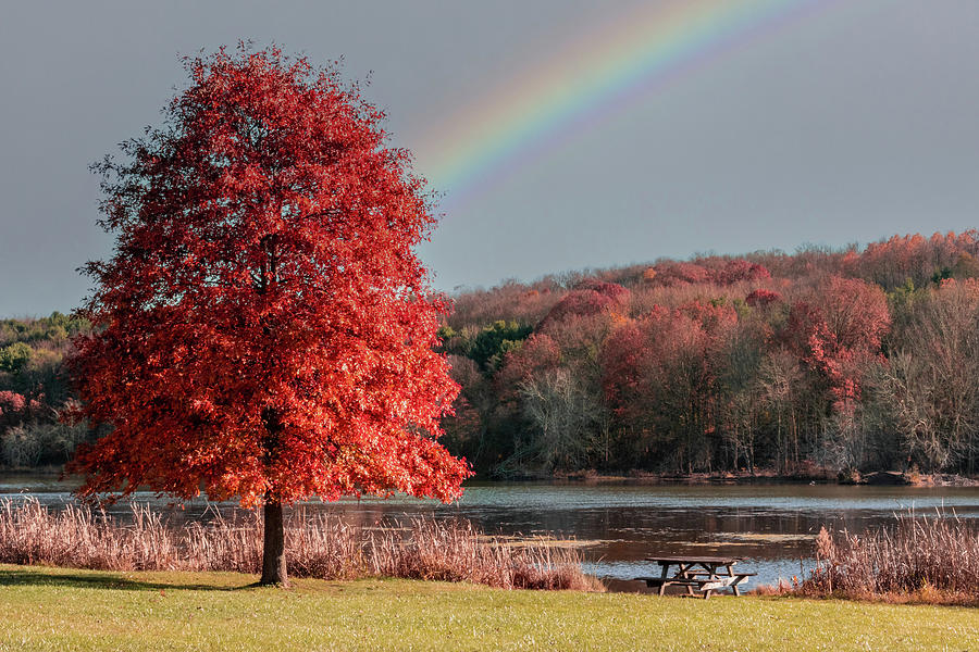 End of the Rainbow Photograph by Rick Nelson