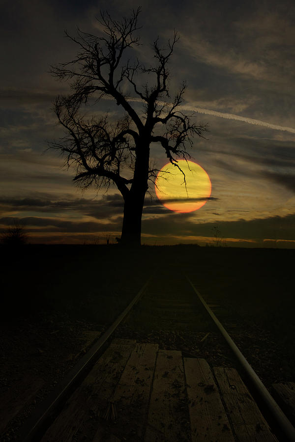 End of the Tracks  Photograph by Aaron J Groen