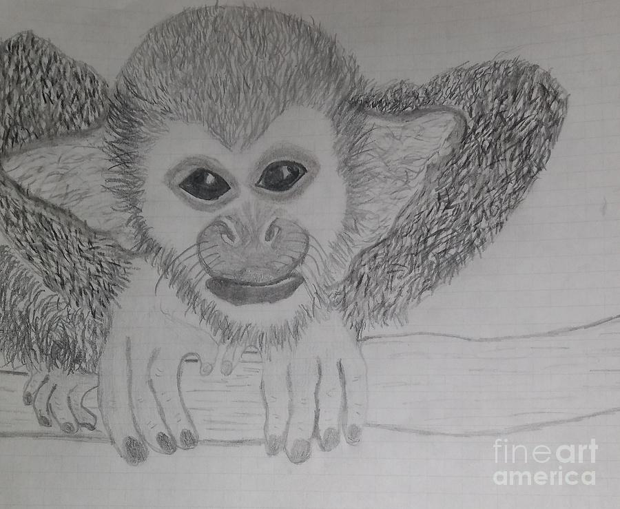Endangered Drawing by Jacque Gross | Fine Art America