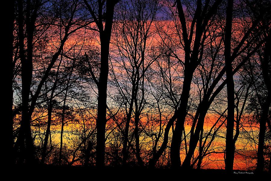 Endless Color Sunset Photograph by Mary Walchuck