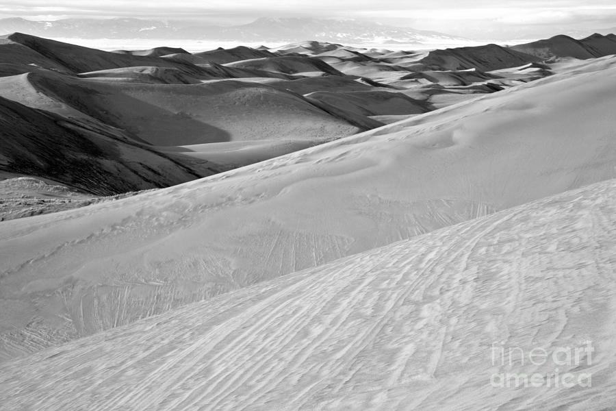 Endless Colorado Sand Dunes Black And White Photograph by Adam Jewell