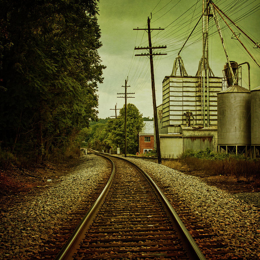 Vintage Photograph - Endless Journey by Andrew Paranavitana