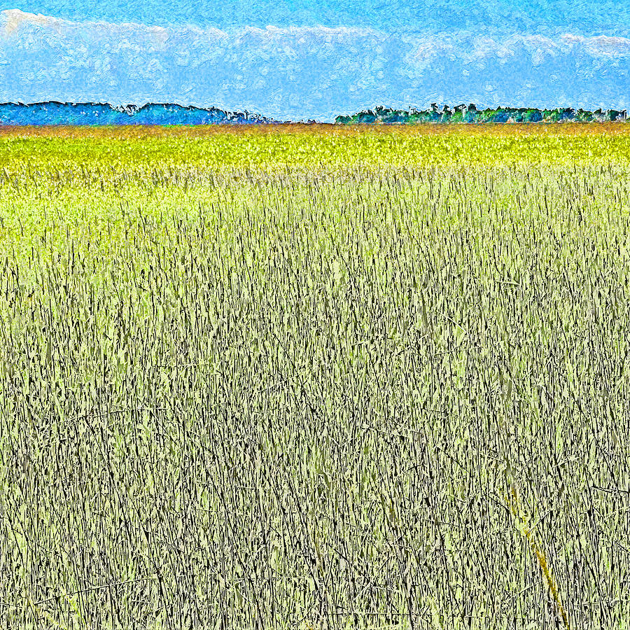 Endless Seagrass of Savannah Photograph by Island Hoppers Art
