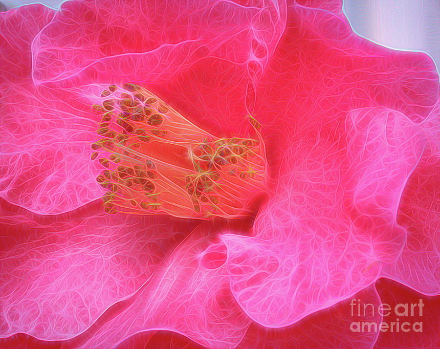 Energized Camellia Photograph by Karen Silvestri