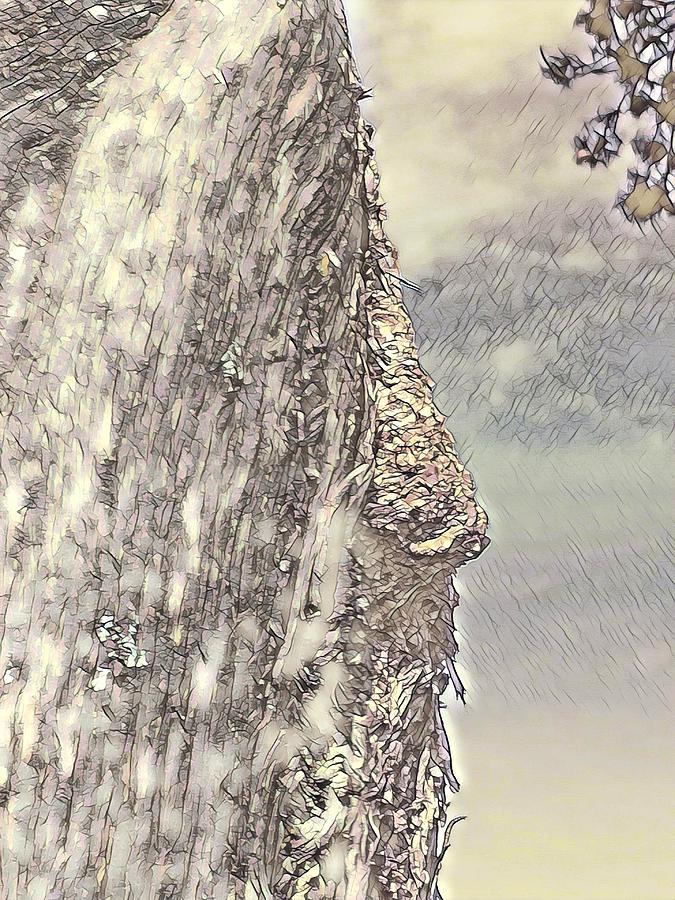 Englass-Tree with Nose Digital Art by Spiga doro-Giancarlo Cencini