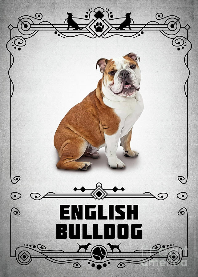 Animal Digital Art - English Bulldog by Bo Kev