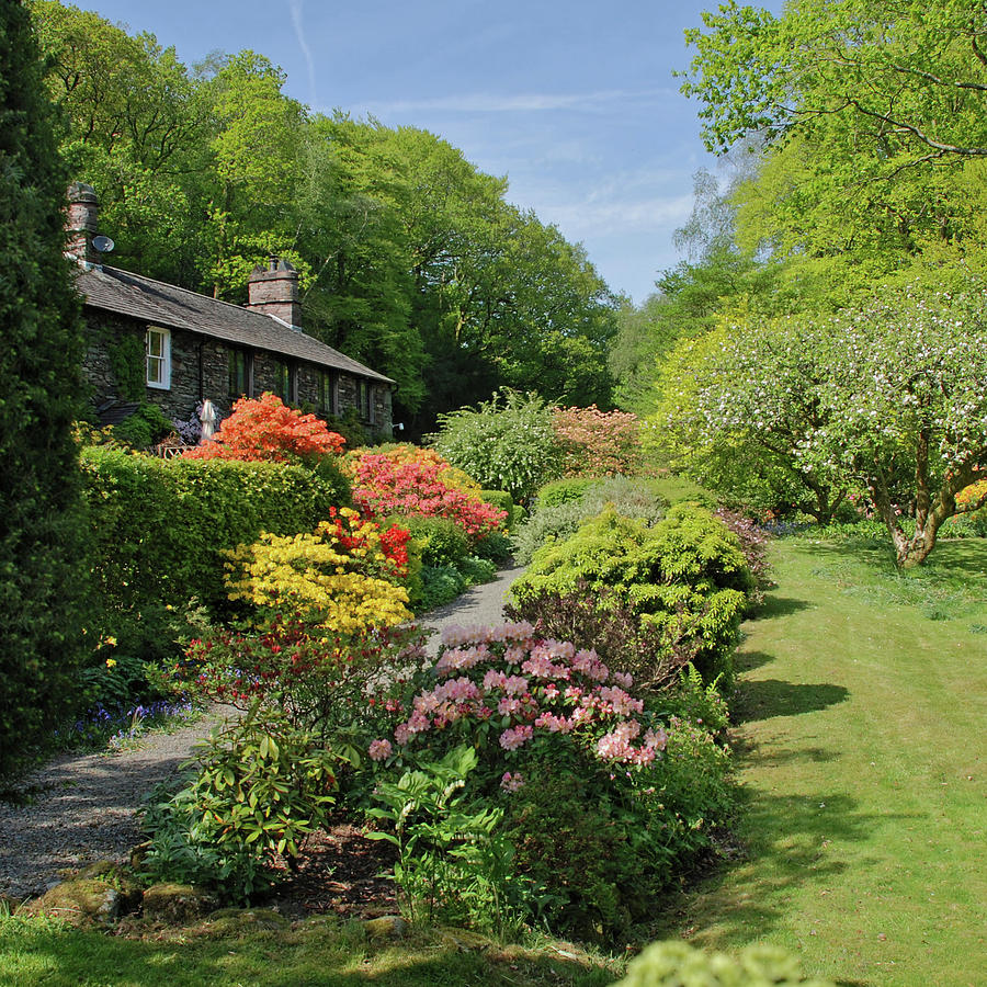 English Country Garden Photograph by Andrew Wilson - Fine Art America