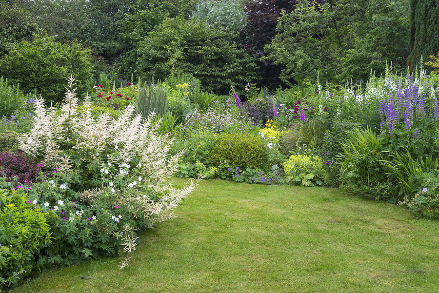 English country garden in late June Photograph by Photos by R A Kearton