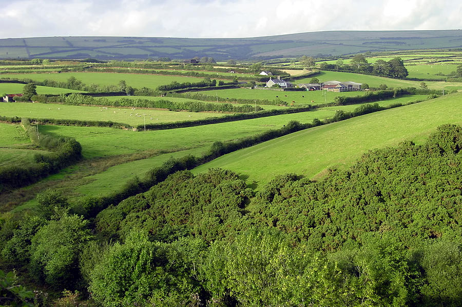 English countryside, Exmoor National Park Photograph by Raclro