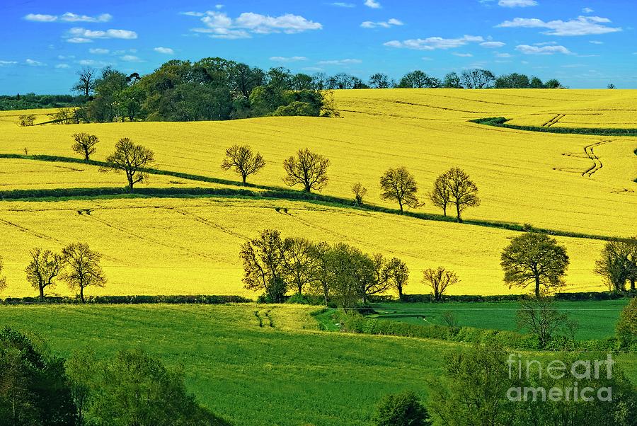 English Countryside Landscape - Rutland Photograph by Martyn Arnold
