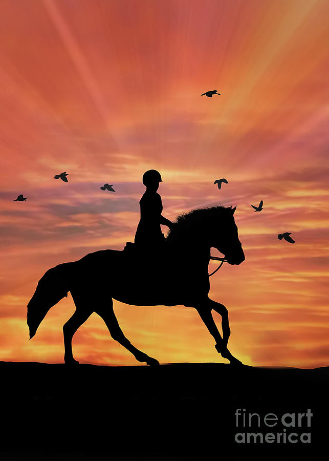 English Dressage Rider and Horse in Sun with Birds Silhouette Photograph by Stephanie Laird