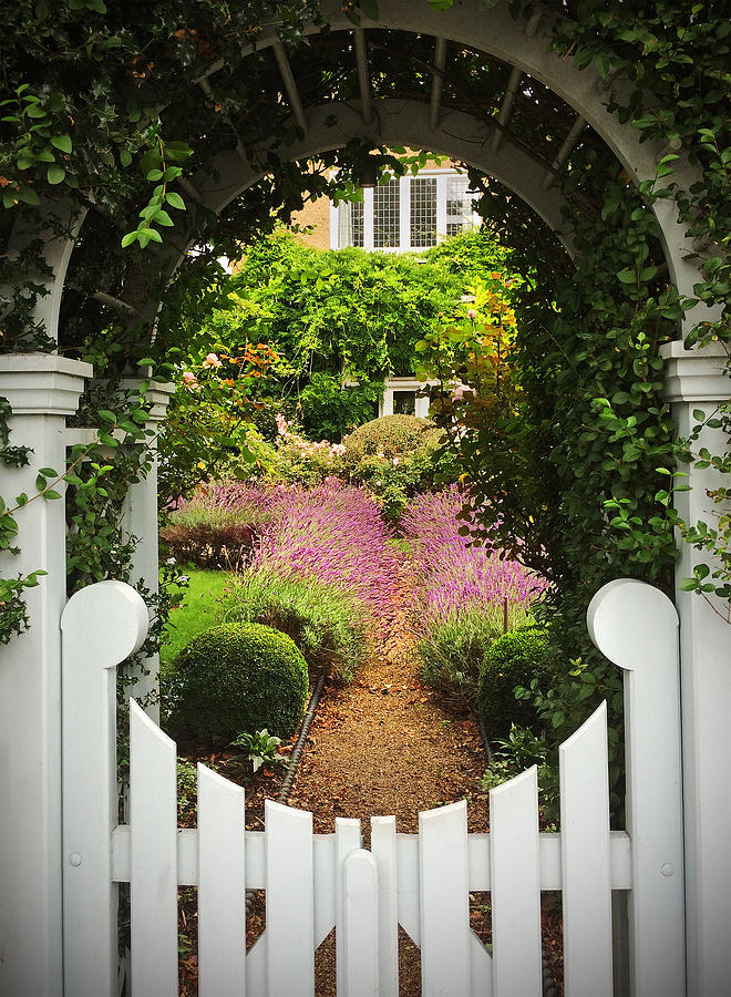English garden gate Photograph by Oversnap