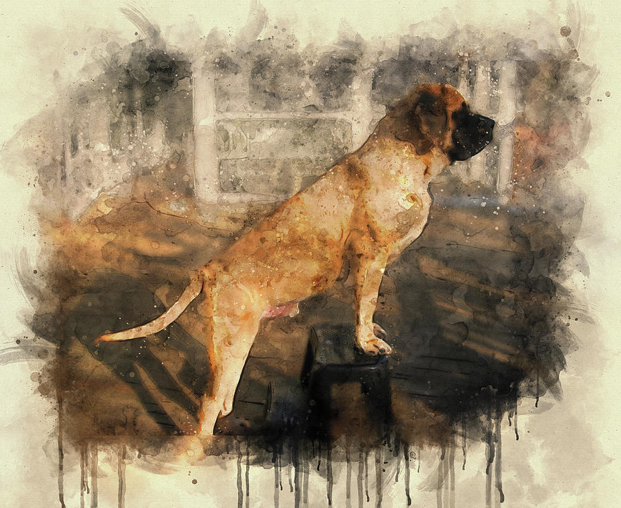 English Mastiff climbing a ladder - watercolor painting Digital Art by Nicko Prints
