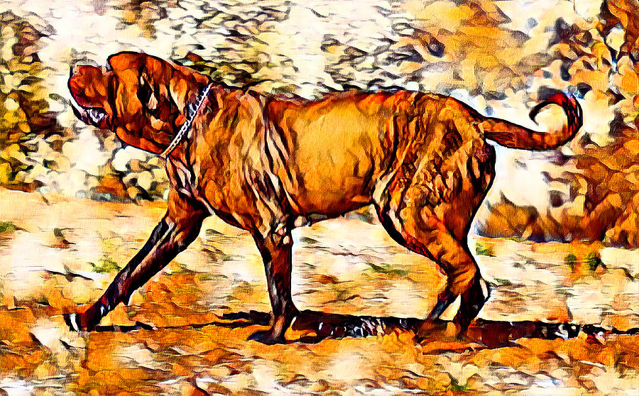 English Mastiff waiting for a treat - brown high contrast Digital Art by Nicko Prints