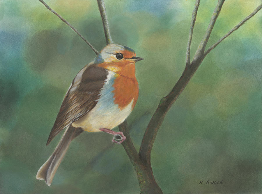 English robin in Alnwick Garden Pastel by Kim Ringle - Fine Art America