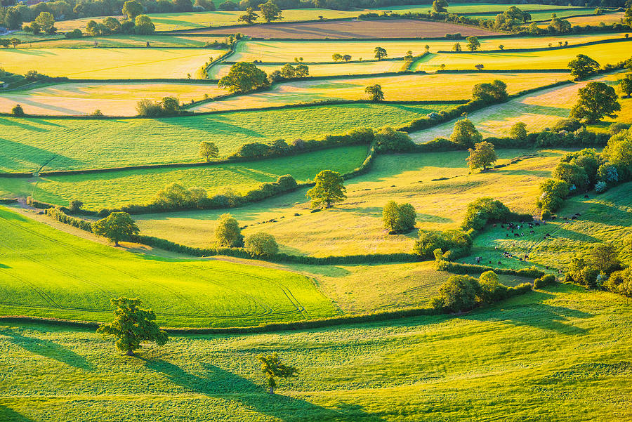 English rolling agricultural landscape Photograph by Georgeclerk