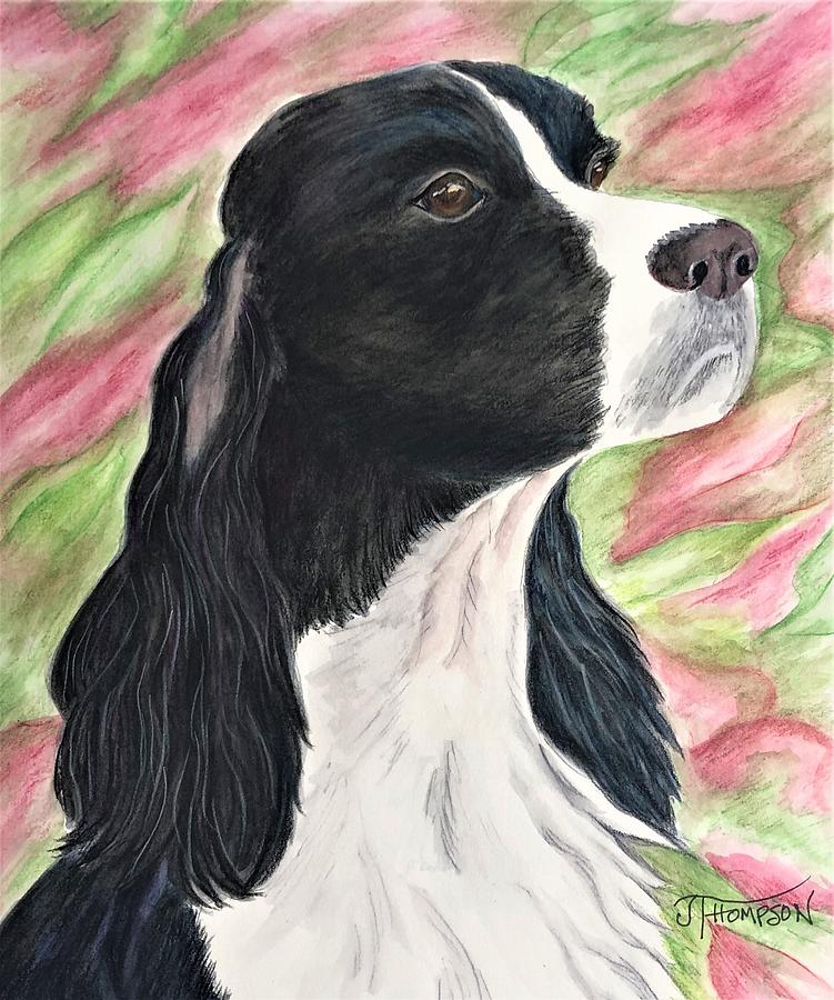 English Springer Spaniel Painting by Judy Thompson