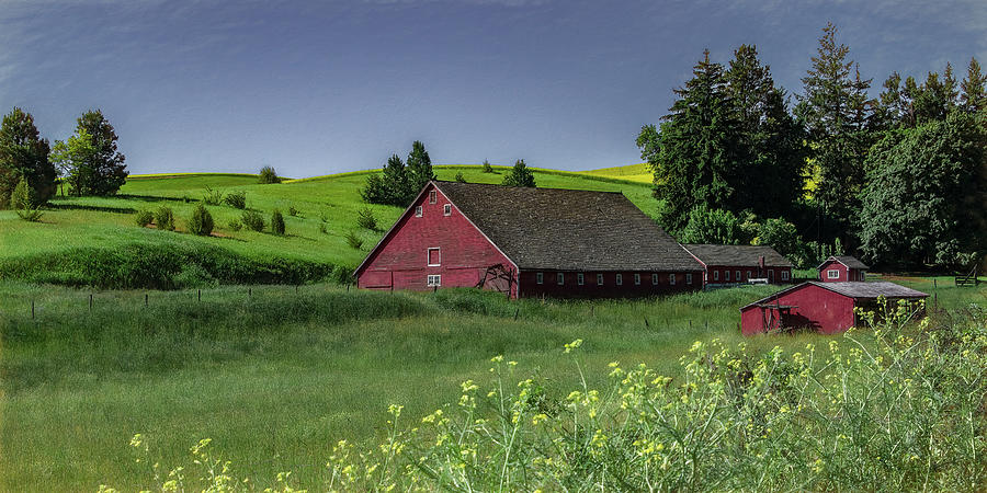 English Style Barn in the Heart of the Palouse Photograph by Marcy Wielfaert