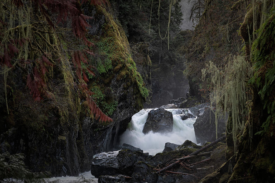 Waterfall Photograph - Englishman River Lower Falls by Randy Hall