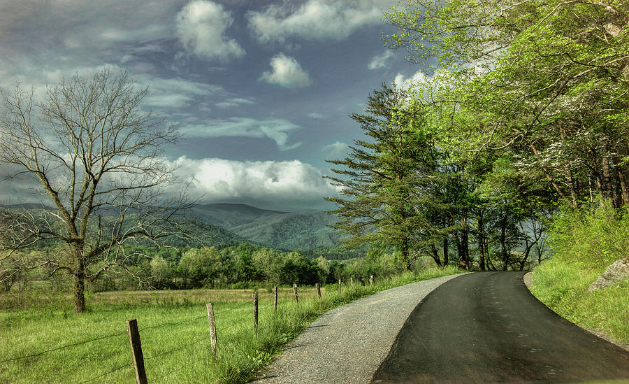 Enjoy The Journey, Cades Cove Photograph by Marcy Wielfaert