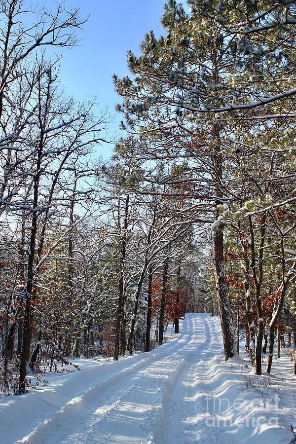 Enjoy the Journey Winter Wonderland Photograph by Ann Brown