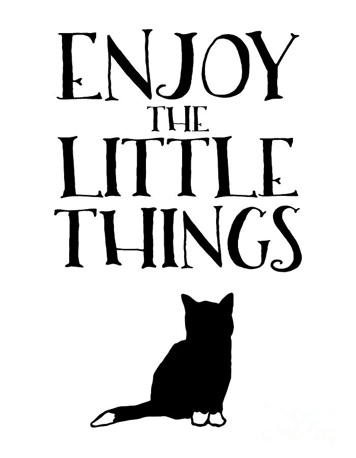 Cat Mixed Media - Enjoy the Little Things by PurrVeyor Com Cat Mixed Media - Enjoy the Little Things by PurrVeyor Com