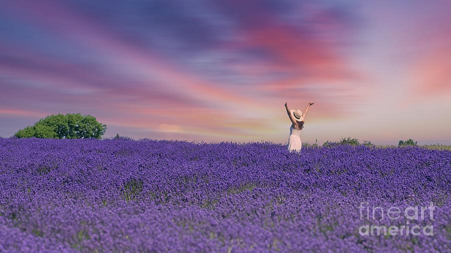 Enjoy The Moment - Lavender Fields Photograph by Philip Preston