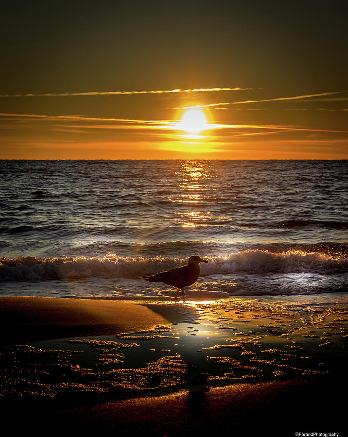 Enjoy The Sunset Set  Photograph by Debra Forand