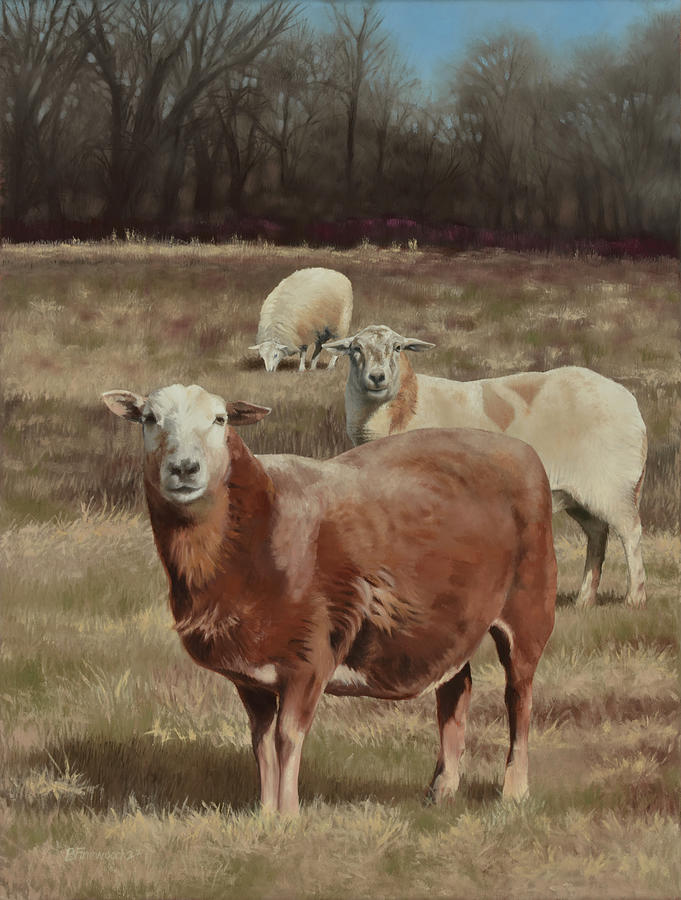 Sheep Painting - Enjoying a Sunny Afternoon in February by Bill Finewood