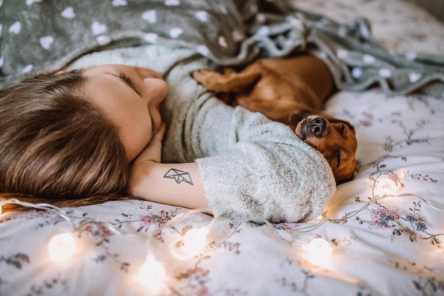 Enjoying Christmas Morning With Her Beautiful Dachshund in Bed Photograph by Pekic