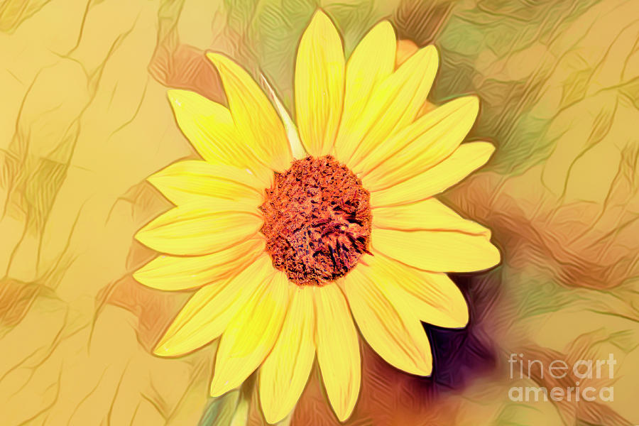 Sunflower Digital Art - Enjoying the Sun by Elisabeth Lucas