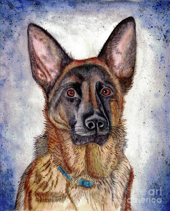 Enola German Shepherd Painting by David Graves - Fine Art America