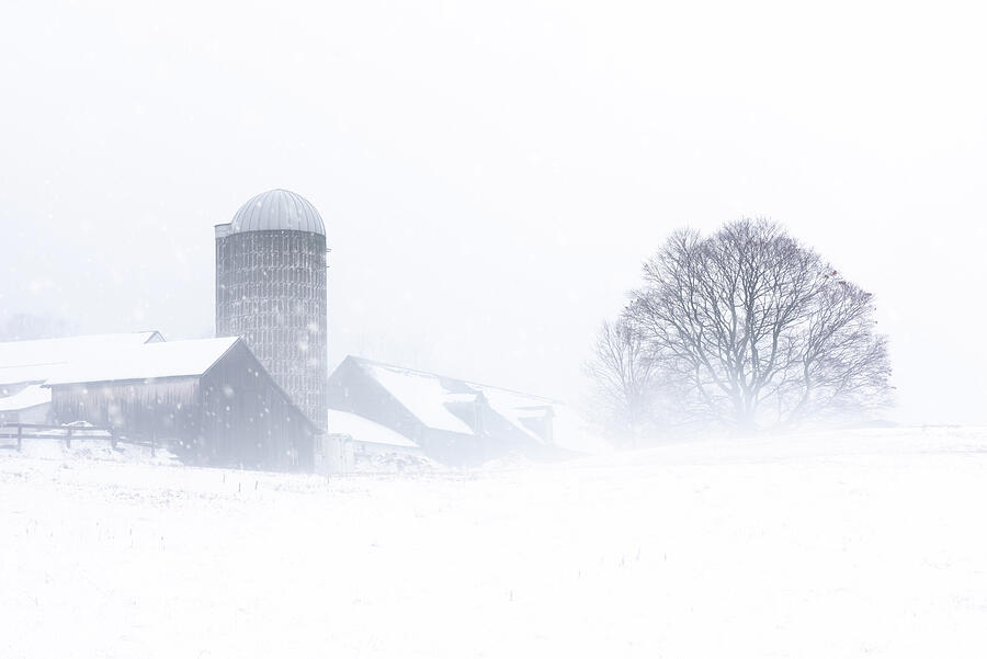 Winter Photograph - Enshrouded Echos - Dutchess NY by Photos By Thom
