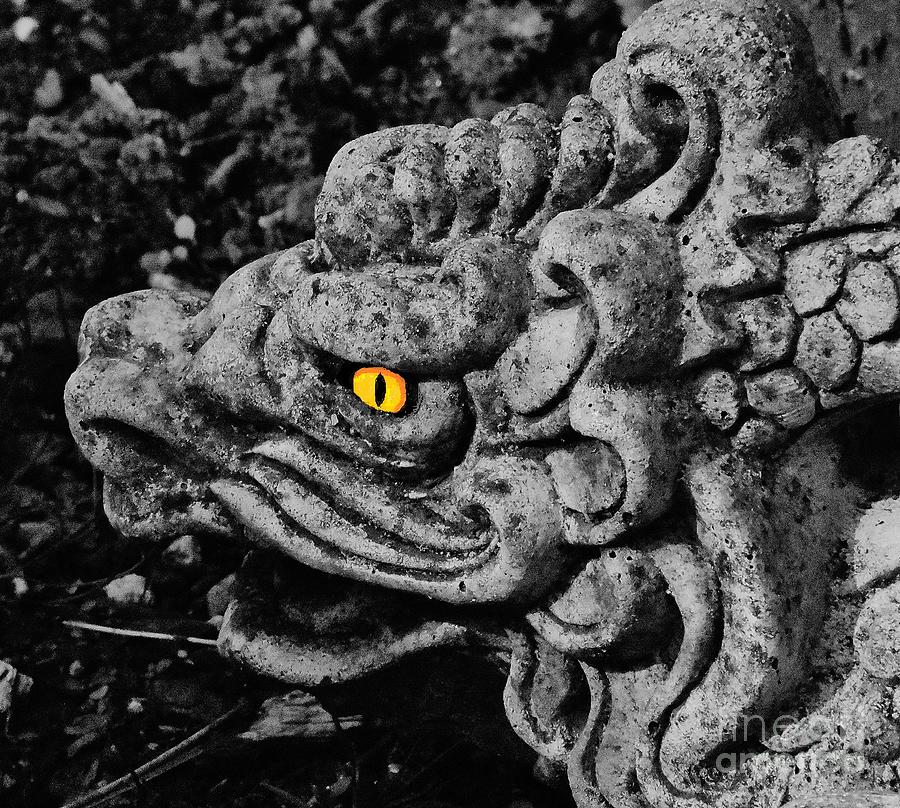 Enter The Dragon Photograph by Jimmy Chuck Smith