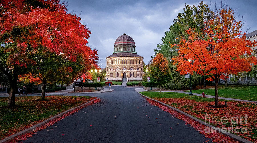 Fall Photograph - Entering Union College by Neil Shapiro