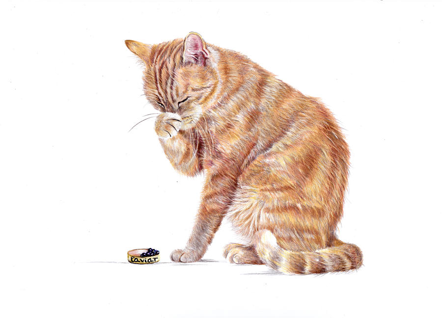 Cat Painting - Entitled - Ginger Tabby Cat by Debra Hall