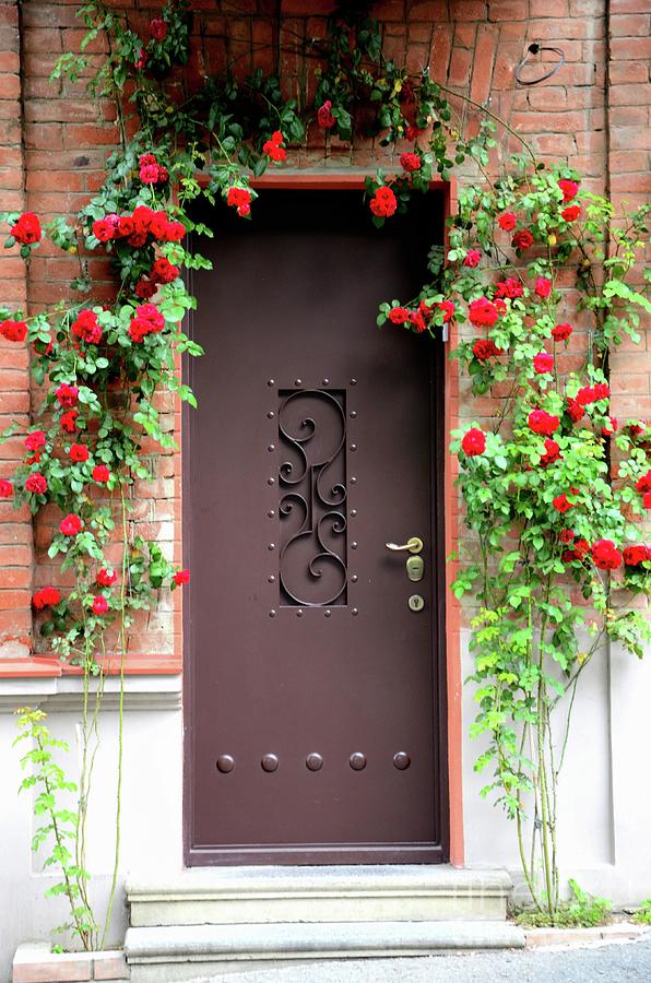 Entrance door with red flowers bricks and ornate light post Tbilisi Georgia Photograph by Imran Ahmed