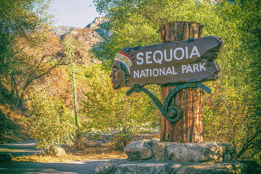 Entrance Sign, Sequoia National Park Photograph by Joseph S Giacalone