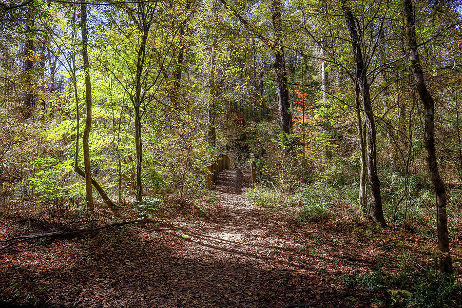 Entrance To A Georgia Fall Photograph by Ed Williams