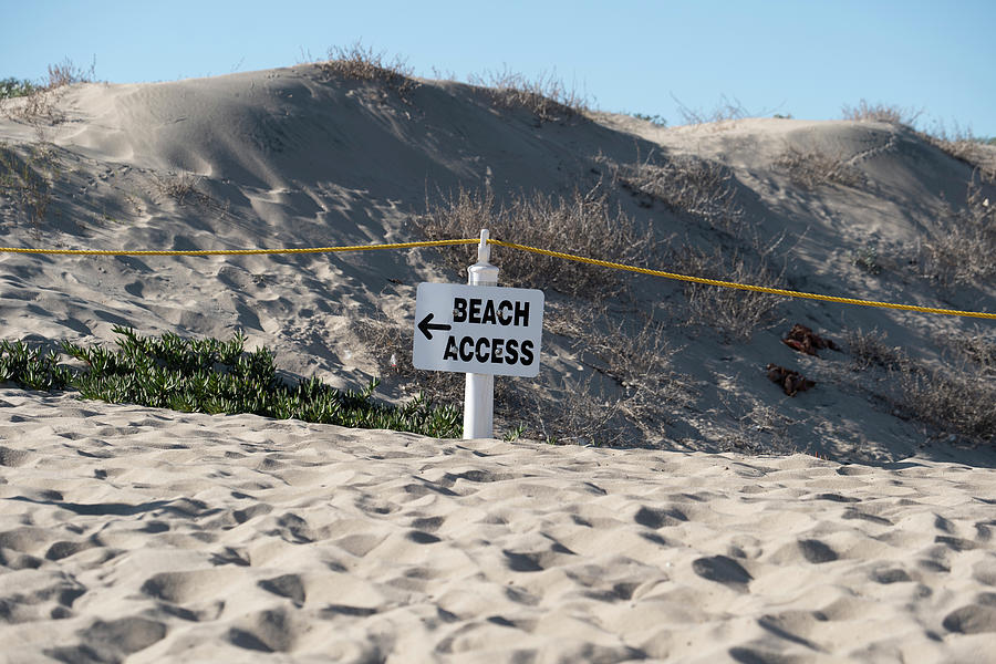 Entrance to a sandy beach seascape Photograph by Mark Stout