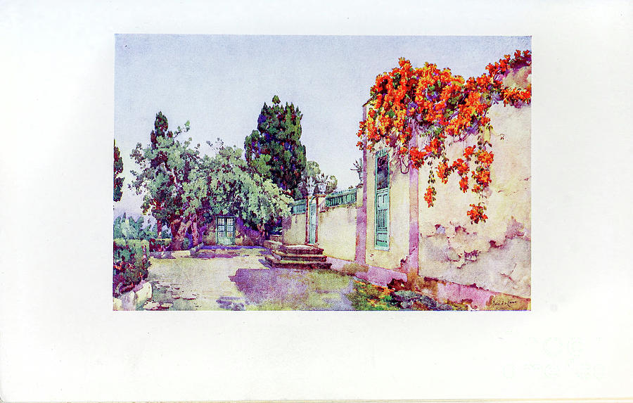 Flower Drawing - Entrance to a Spanish Villa, Tenerife j1 by Historic Illustrations
