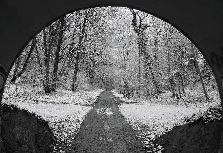 entrance-to-a-winter-wonderland-photograph-by-mark-robert-davey-fine